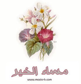 صور مساء الخير 2013 للفيس بوك - بطاقات خلفيات مسائية Good Evening