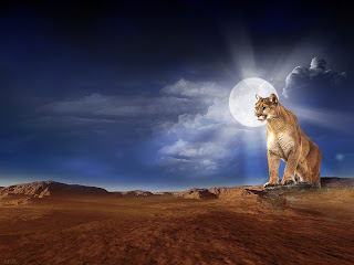 خلفيات فوتوشوب - تصاميم فوتوشوب منوعة لسطح المكتب رائعة Photoshop Wallpapers