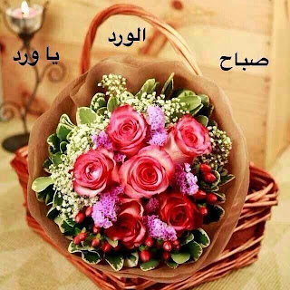 صور صباح الخير جديده