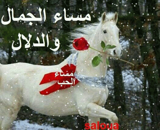 صور للمساء
