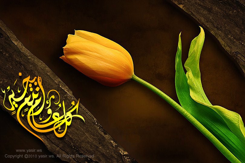صور كل عام وانتم بخير