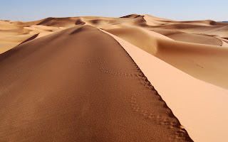 خلفيات جميلة للP1 الكمبيوتر