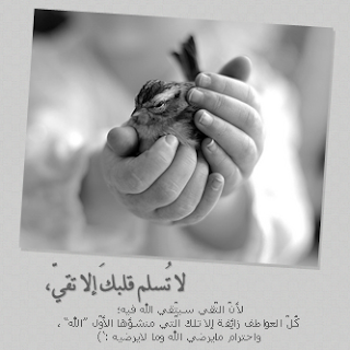 أجمل صور كتب عليها أجمل العبارات 2014