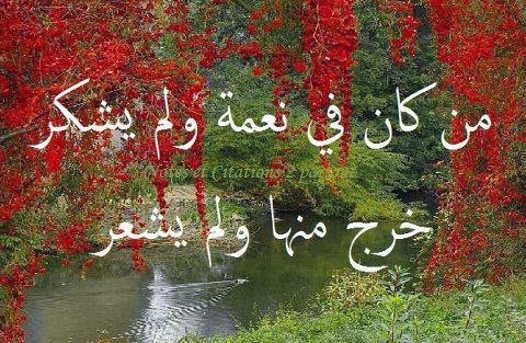صور كلمات معبره صور كلمات حزينه صور كلمات اغاني صور كلمات انجليزية صور كلمات عتاب صور بنات صور كلمات حب صور كلمات شعر