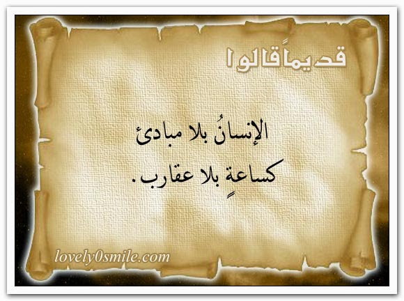 كلمات وعبارات جميلة