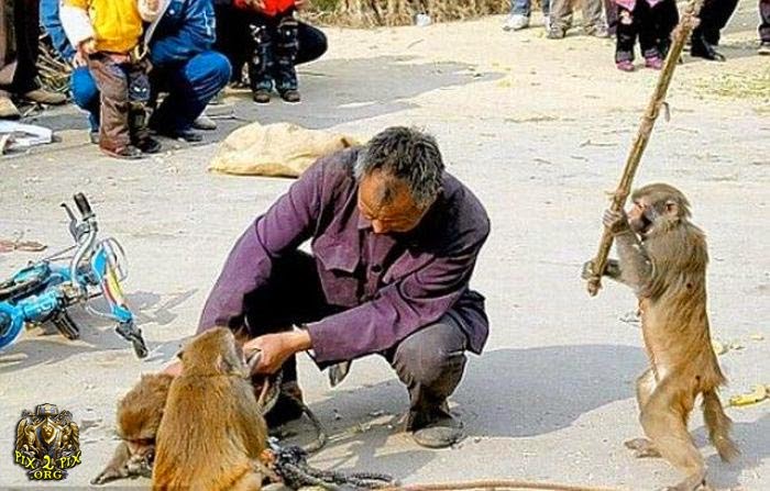 صور مضحكة جديدة صور مضحكة جدا للفيس بوك صور مضحكة 2015 صور مضحكة جديدة صور مضحكة جدا للفيس بوك صور مضحكة 2015