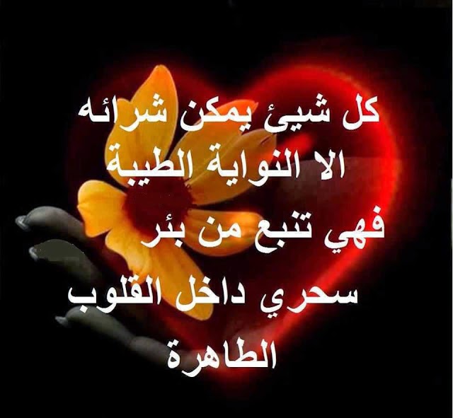 صور عبارات وحكم ومقولات مؤثورة صور حكم