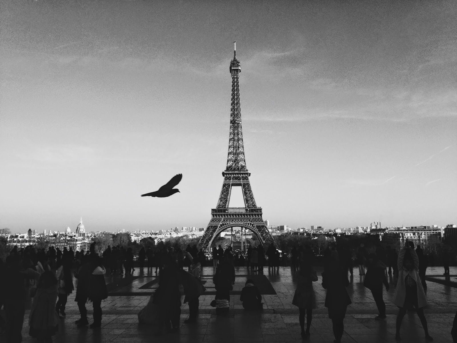 صور فوتوغرافية صور فوتوغرافية ابيض واسود صور فوتوغرافية احترافية صور فوتوغرافية معبرة صور فوتوغرافية للتصميم صور فوتوغرافية روعة صور فوتوغرافية للبنات صور فوتوغرافية عالمية صور فوتوغرافية 2012