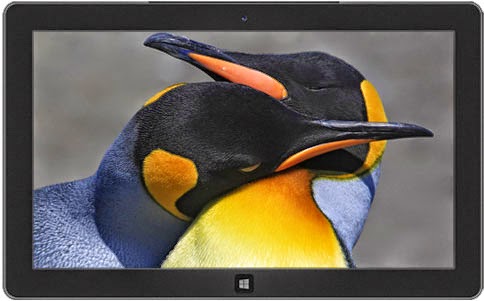 لتحميل أفضل 10 ثيم خاص بنظام windows 8.1 أفضل , 10 , ثيم , windows 8.1 , صور , أشكال , مختلفة , سطح , المكتب , تتغير , بتطبيق , التحميل