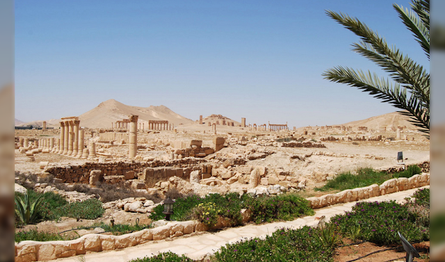 بالصور : تعرف على مدينة تدمر الأثرية السورية