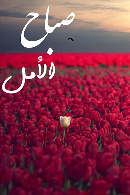 صباح الامل