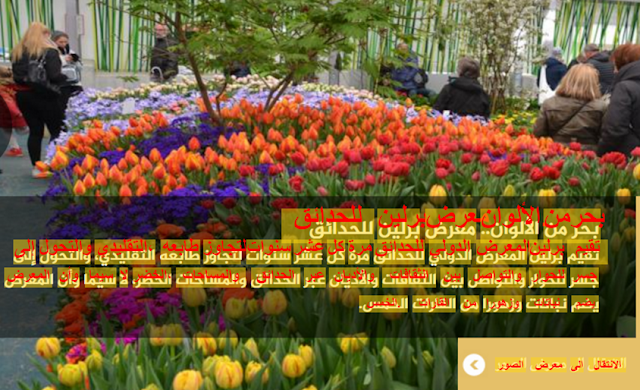 ocr arabic free download best arabic ocr ocr arabic تحميل google ocr convert jpg to word online free ocr برنامج افضل برنامج ocr عربي ocr text ocr arabic free download best arabic ocr ocr arabic تحميل google ocr convert jpg to word online free ocr برنامج افضل برنامج ocr عربي ocr text