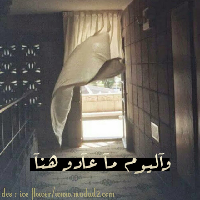 صور حكم وعبارات