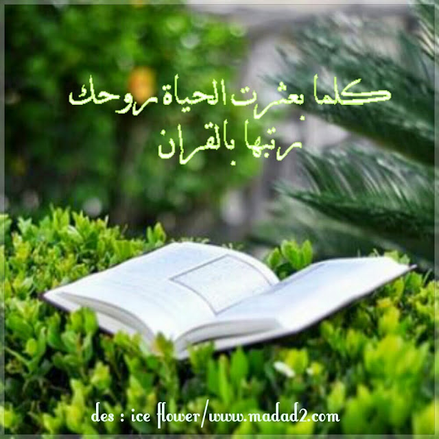 صور حكم وعبارات