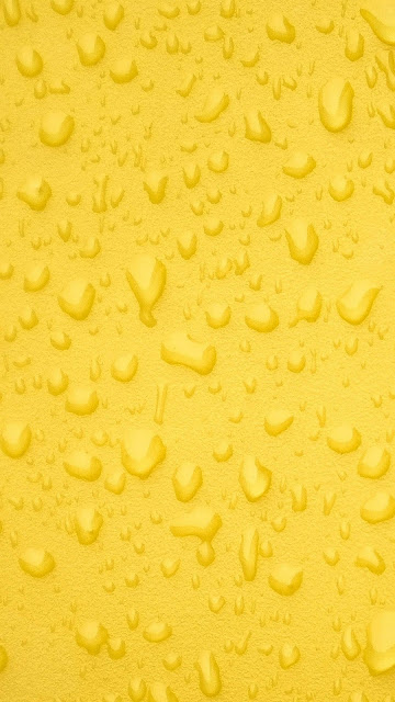 WhatsApp wallpaper 4k WhatsApp wallpaper HD تحميل برنامج WhatsApp Wallpaper WhatsApp wallpaper original Whatsapp Wallpaper iPhone WhatsApp Wallpaper APK واتساب Wallpaper 4k WhatsApp wallpaper 4k WhatsApp wallpaper HD تحميل برنامج WhatsApp Wallpaper WhatsApp wallpaper original Whatsapp Wallpaper iPhone WhatsApp Wallpaper APK واتساب Wallpaper 4k